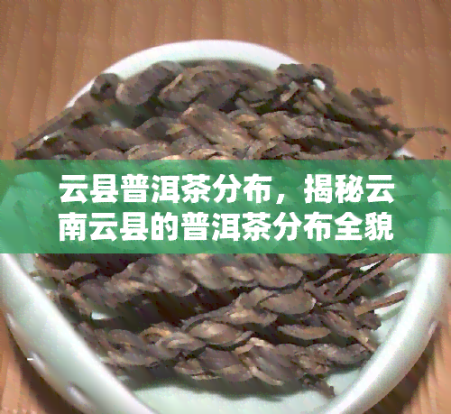 云县普洱茶分布，揭秘云南云县的普洱茶分布全貌