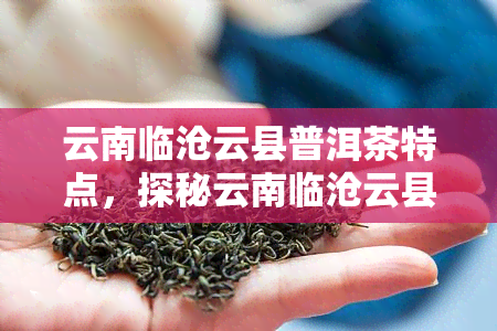 云南临沧云县普洱茶特点，探秘云南临沧云县：揭秘普洱茶的独特特点