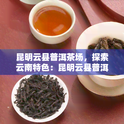 昆明云县普洱茶场，探索云南特色：昆明云县普洱茶场深度游