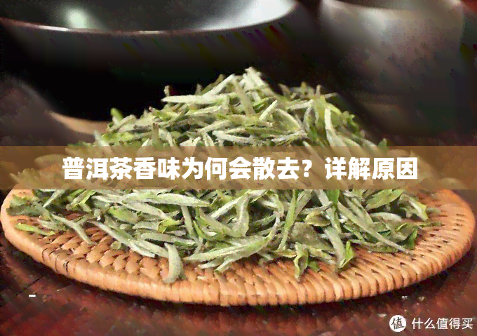 普洱茶香味为何会散去？详解原因