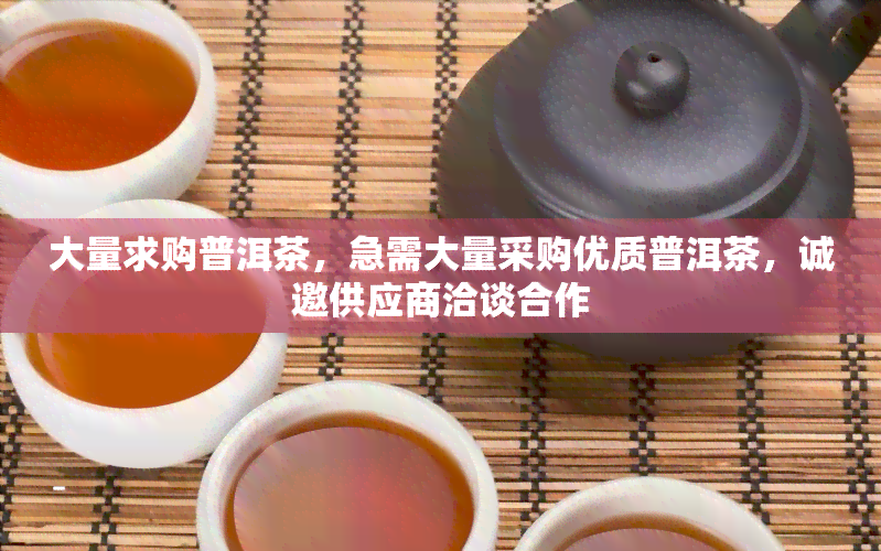 大量求购普洱茶，急需大量采购优质普洱茶，诚邀供应商洽谈合作