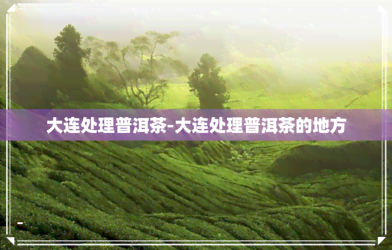 大连处理普洱茶-大连处理普洱茶的地方