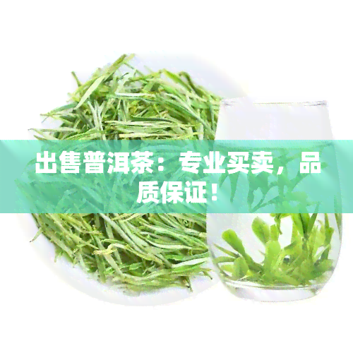 出售普洱茶：专业买卖，品质保证！