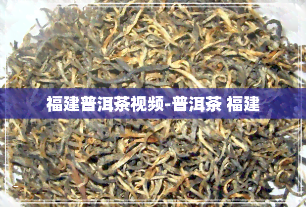 福建普洱茶视频-普洱茶 福建