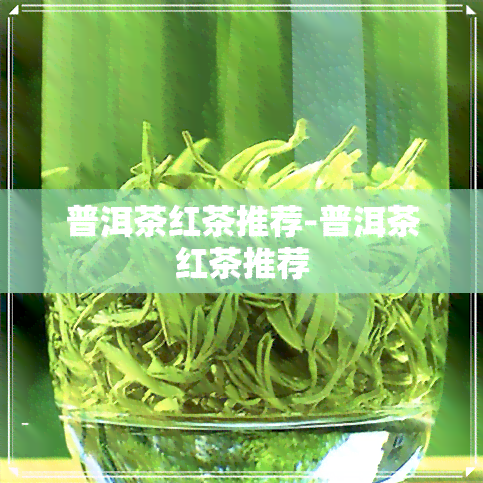 普洱茶红茶推荐-普洱茶红茶推荐