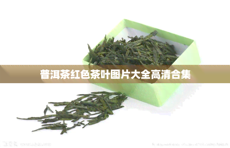 普洱茶红色茶叶图片大全高清合集