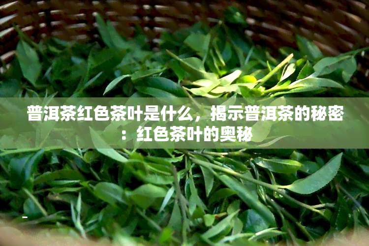 普洱茶红色茶叶是什么，揭示普洱茶的秘密：红色茶叶的奥秘