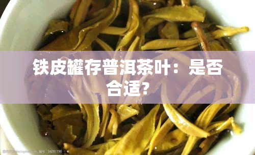 铁皮罐存普洱茶叶：是否合适？