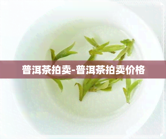 普洱茶拍卖-普洱茶拍卖价格