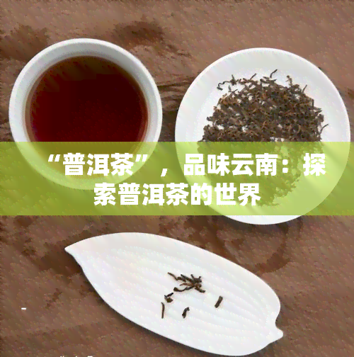 “普洱茶”，品味云南：探索普洱茶的世界