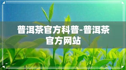 普洱茶官方科普-普洱茶官方网站