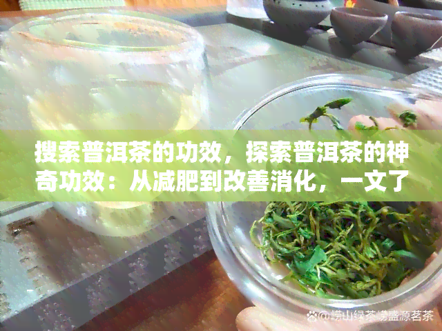 搜索普洱茶的功效，探索普洱茶的神奇功效：从减肥到改善消化，一文了解全貌