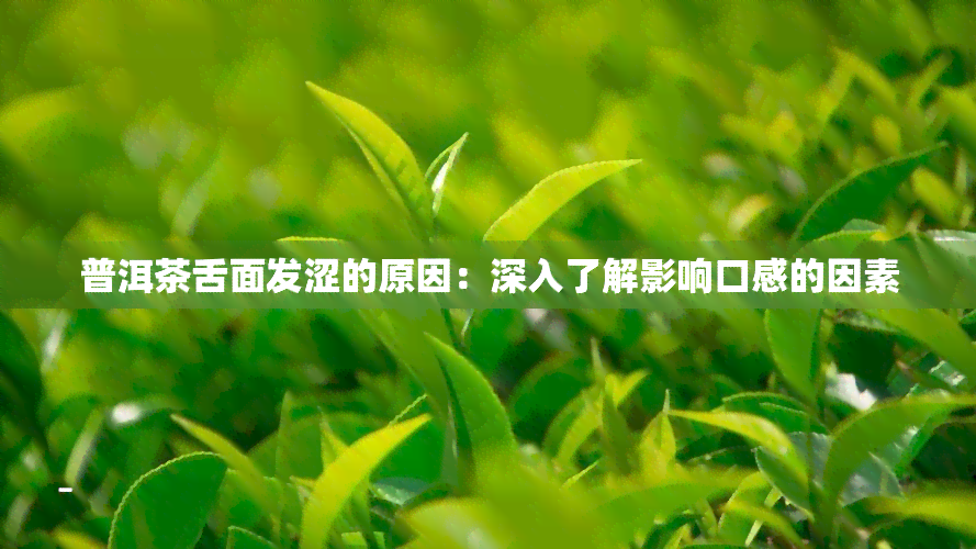 普洱茶舌面发涩的原因：深入了解影响口感的因素