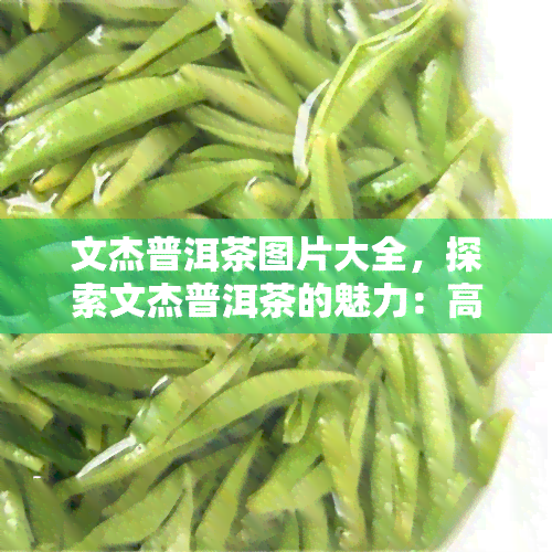 文杰普洱茶图片大全，探索文杰普洱茶的魅力：高清图片大全一览