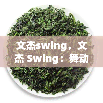 文杰swing，文杰 Swing：舞动生活的美妙旋律