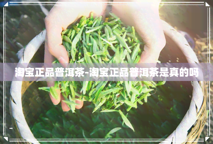 淘宝正品普洱茶-淘宝正品普洱茶是真的吗