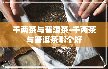 千两茶与普洱茶-千两茶与普洱茶哪个好