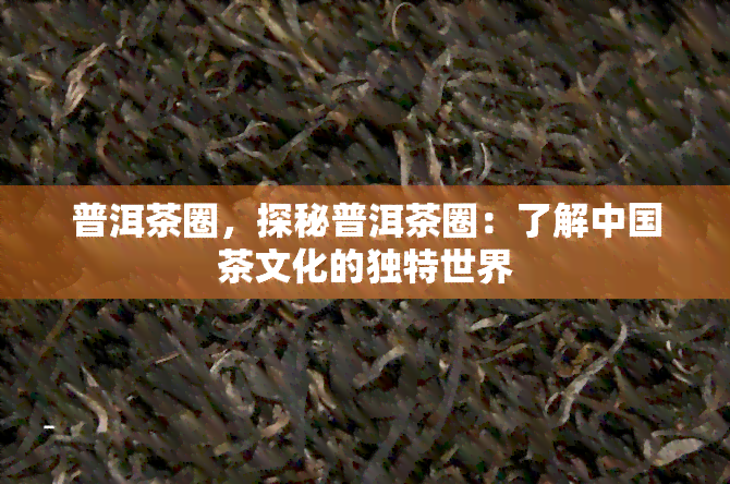 普洱茶圈，探秘普洱茶圈：了解中国茶文化的独特世界