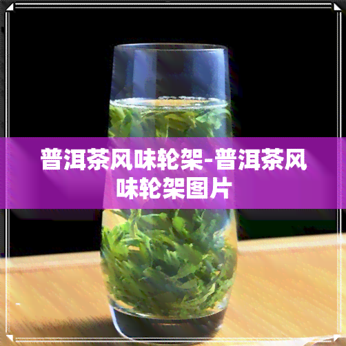 普洱茶风味轮架-普洱茶风味轮架图片