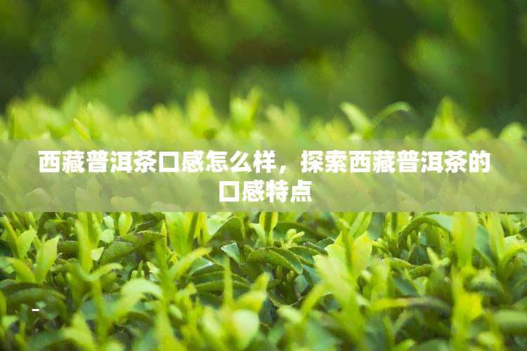  *** 普洱茶口感怎么样，探索 *** 普洱茶的口感特点