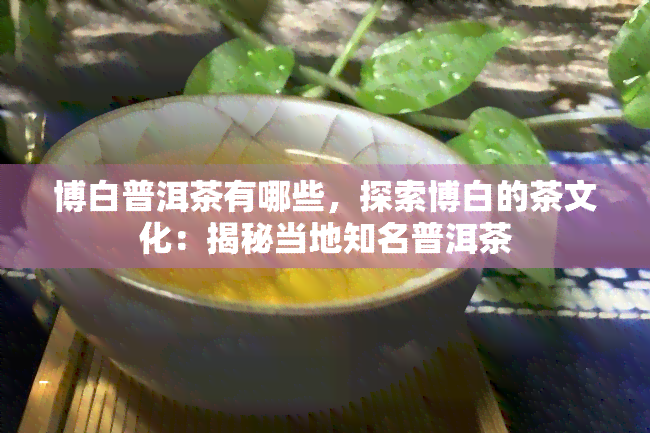 博白普洱茶有哪些，探索博白的茶文化：揭秘当地知名普洱茶