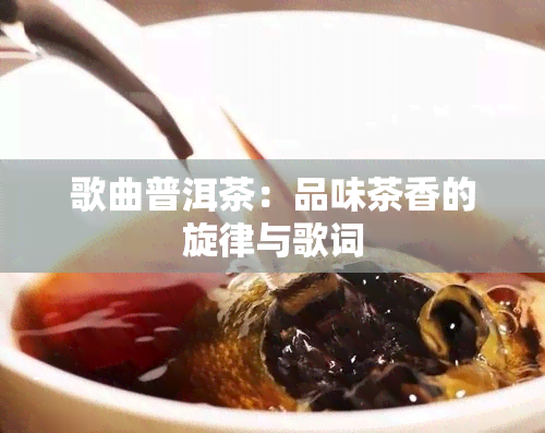 歌曲普洱茶：品味茶香的旋律与歌词