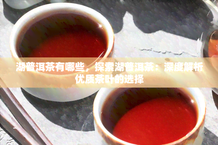 湖普洱茶有哪些，探索湖普洱茶：深度解析优质茶叶的选择