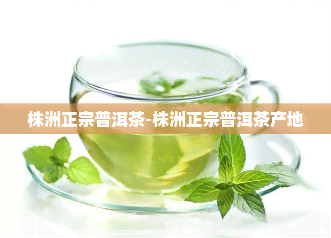 株洲正宗普洱茶-株洲正宗普洱茶产地