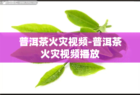 普洱茶火灾视频-普洱茶火灾视频播放