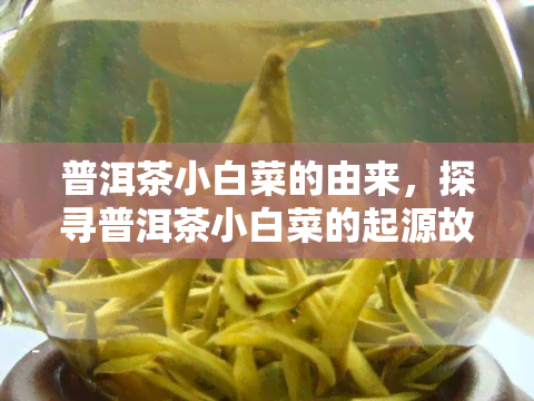 普洱茶小白菜的由来，探寻普洱茶小白菜的起源故事