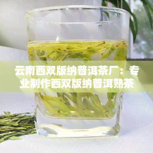 云南西双版纳普洱茶厂：专业制作西双版纳普洱熟茶，品味地道云南西双版纳茶业