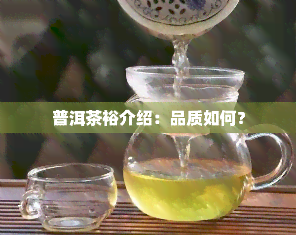 普洱茶裕介绍：品质如何？