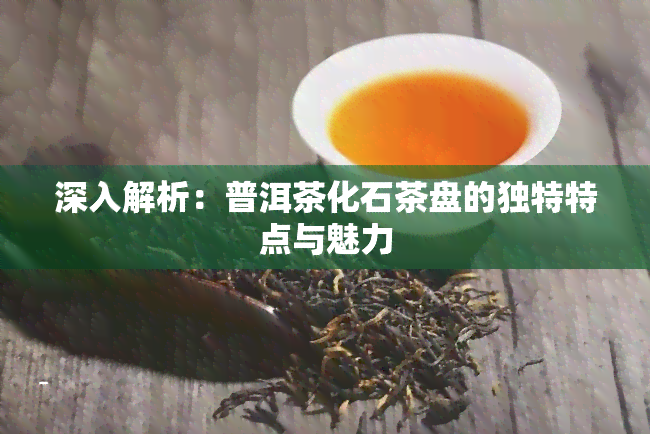 深入解析：普洱茶化石茶盘的独特特点与魅力