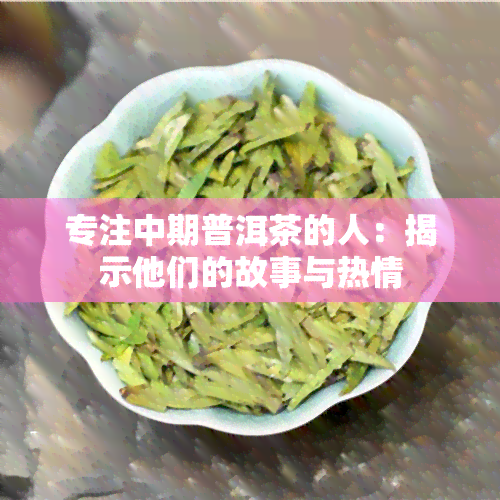 专注中期普洱茶的人：揭示他们的故事与热情