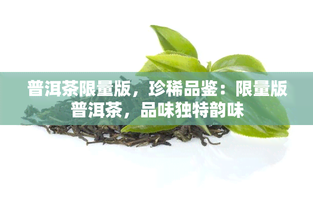 普洱茶限量版，珍稀品鉴：限量版普洱茶，品味独特韵味