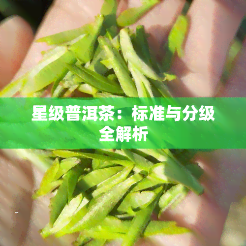 星级普洱茶：标准与分级全解析