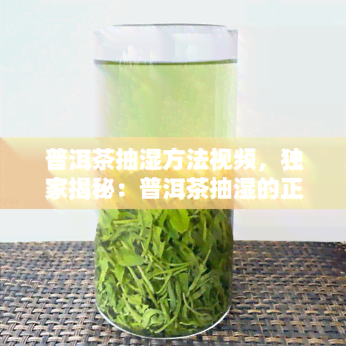 普洱茶抽湿方法视频，独家揭秘：普洱茶抽湿的正确方法，视频教学！