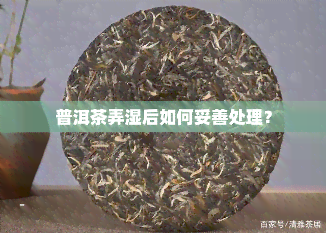 普洱茶弄湿后如何妥善处理？