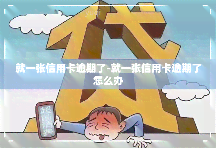 就一张信用卡逾期了-就一张信用卡逾期了怎么办