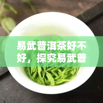 易武普洱茶好不好，探究易武普洱茶的品质：它真的好吗？