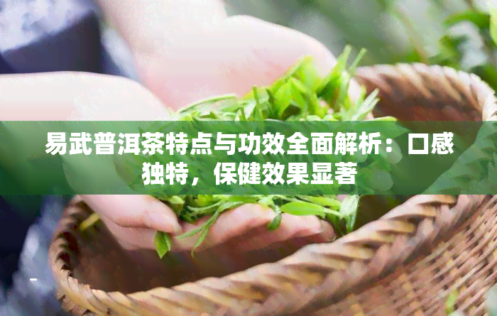 易武普洱茶特点与功效全面解析：口感独特，保健效果显著