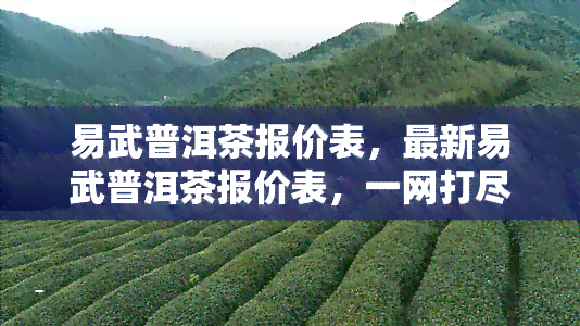 易武普洱茶报价表，最新易武普洱茶报价表，一网打尽各类价格信息！