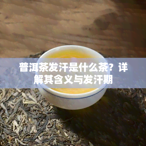 普洱茶发汗是什么茶？详解其含义与发汗期