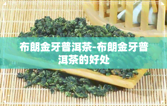 布朗金牙普洱茶-布朗金牙普洱茶的好处