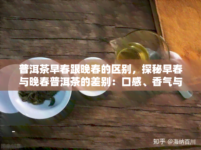 普洱茶早春跟晚春的区别，探秘早春与晚春普洱茶的差别：口感、香气与价值的全方位解析