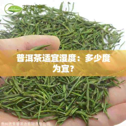 普洱茶适宜湿度：多少度为宜？