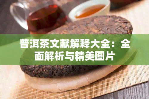 普洱茶文献解释大全：全面解析与精美图片