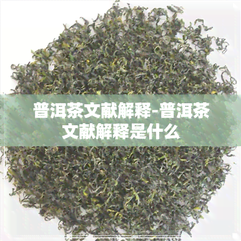 普洱茶文献解释-普洱茶文献解释是什么