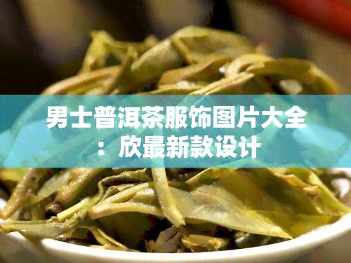 男士普洱茶服饰图片大全：欣最新款设计