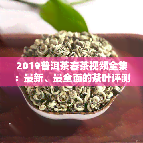 2019普洱茶春茶视频全集：最新、最全面的茶叶评测